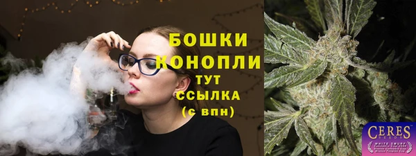 молекула духа Киреевск