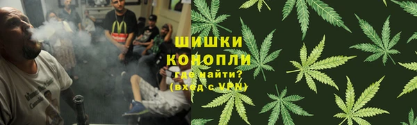 молекула духа Киреевск