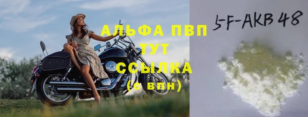 молекула духа Киреевск
