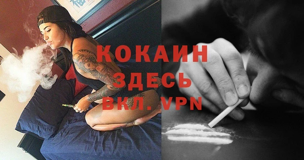 молекула духа Киреевск